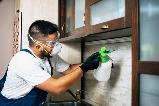 Best Affordable Exterminators  in Utica, SC